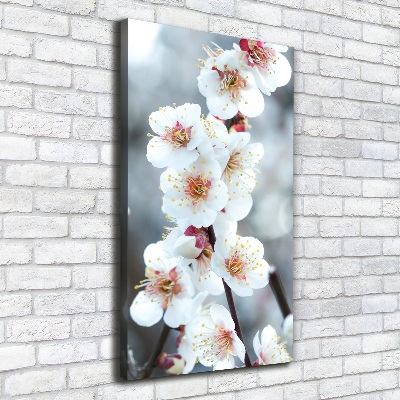 Large canvas wall art Cherry blossoms