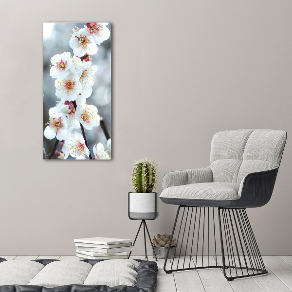 Large canvas wall art Cherry blossoms