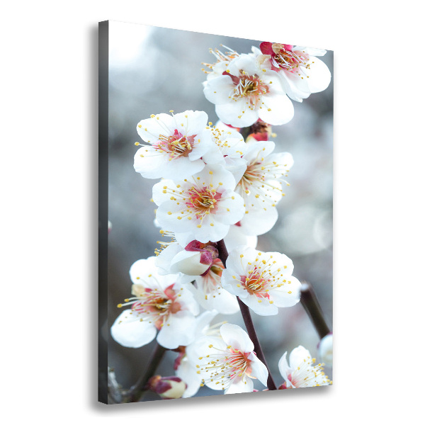 Large canvas wall art Cherry blossoms