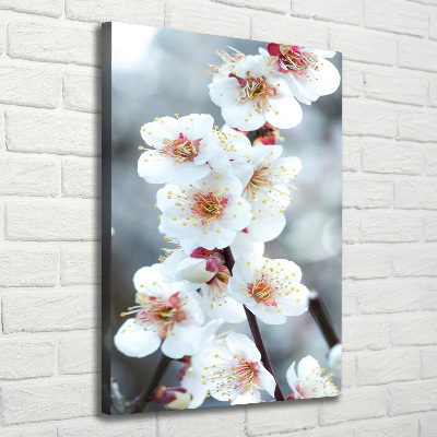 Large canvas wall art Cherry blossoms