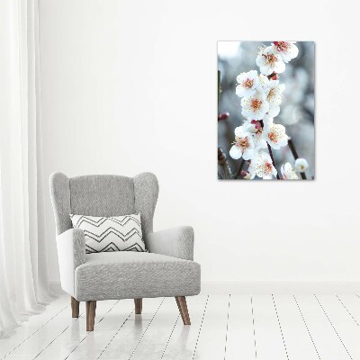 Large canvas wall art Cherry blossoms