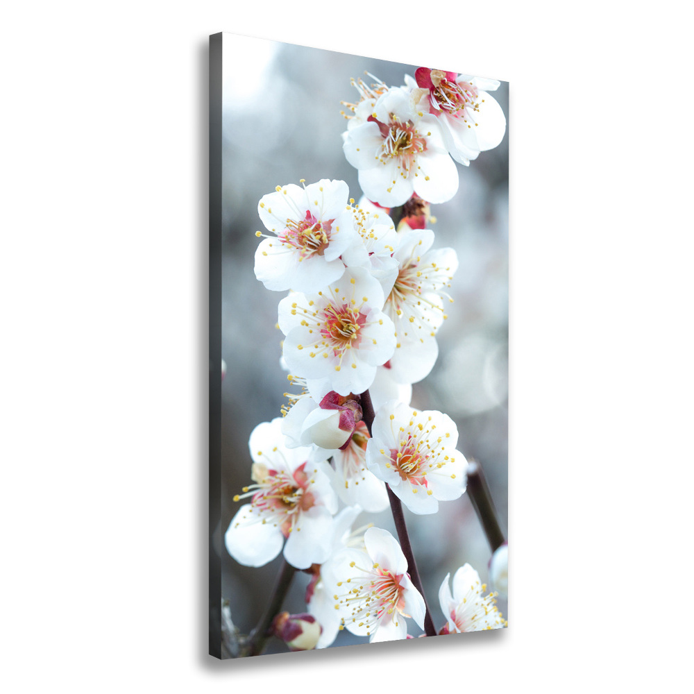 Large canvas wall art Cherry blossoms