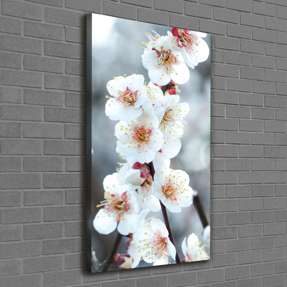 Large canvas wall art Cherry blossoms