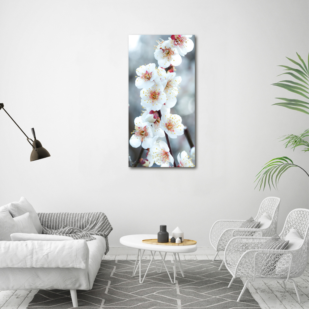 Large canvas wall art Cherry blossoms