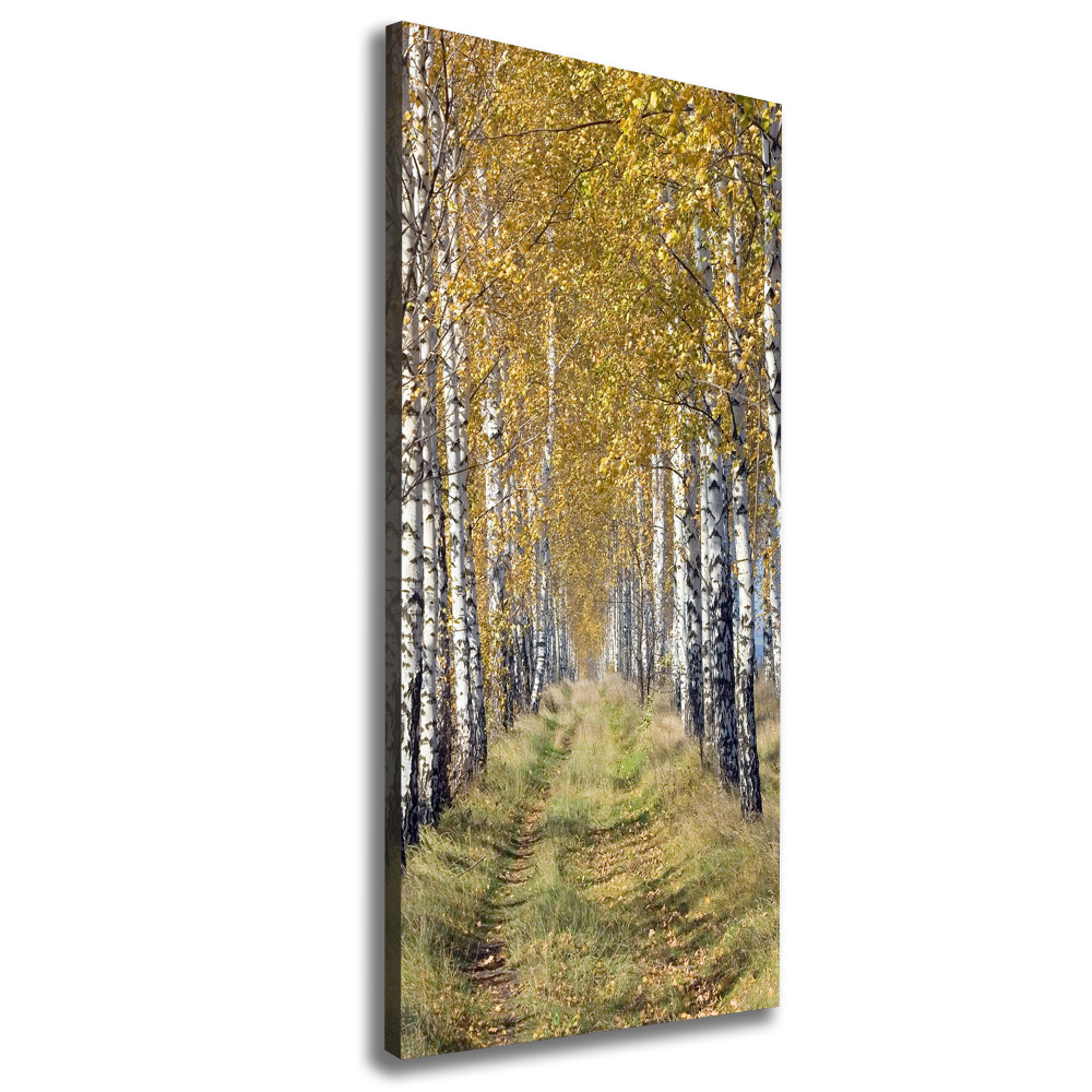 Canvas wall art Birch forest