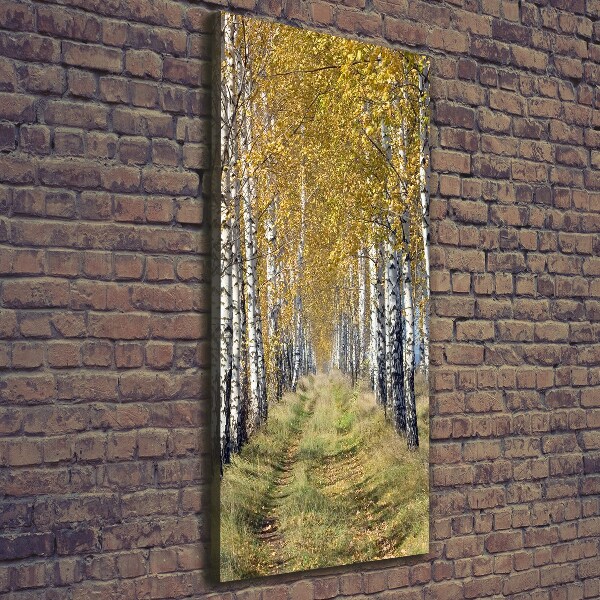 Canvas wall art Birch forest