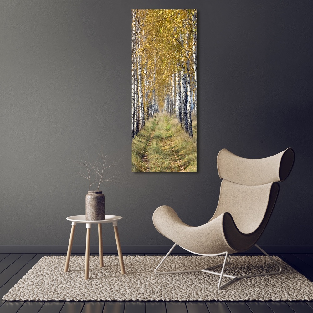 Canvas wall art Birch forest