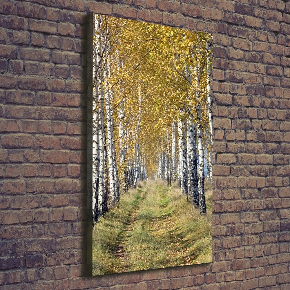 Canvas wall art Birch forest