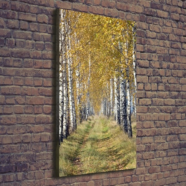 Canvas wall art Birch forest