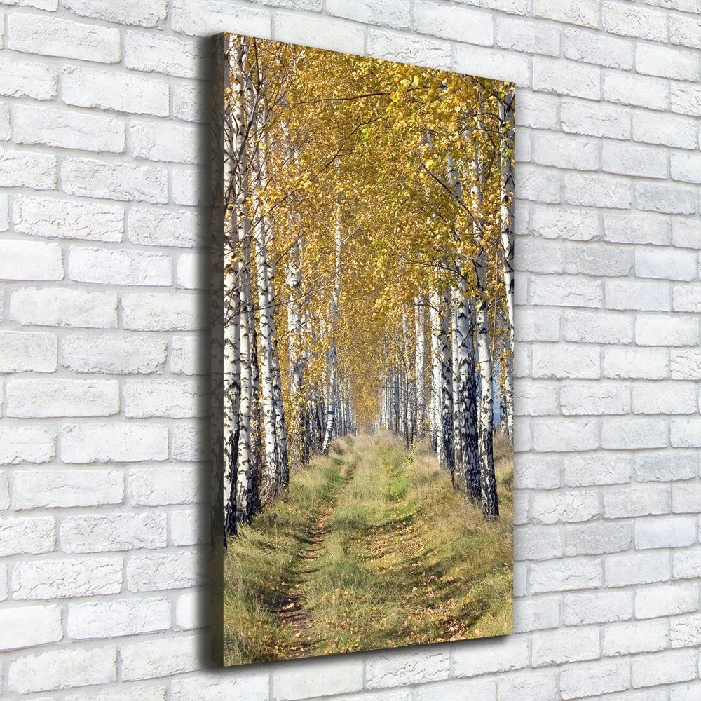 Canvas wall art Birch forest