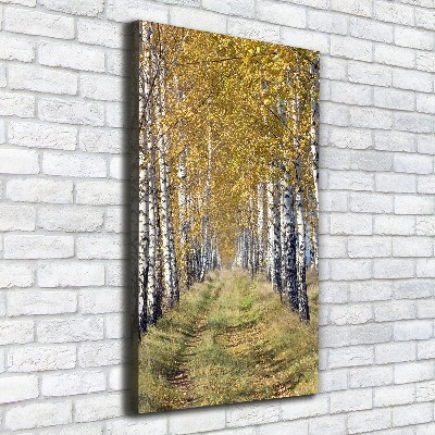 Canvas wall art Birch forest