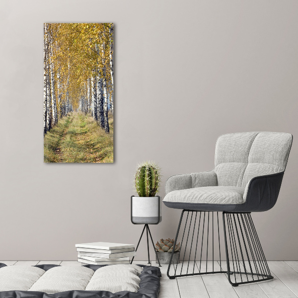 Canvas wall art Birch forest