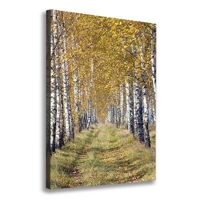 Canvas wall art Birch forest