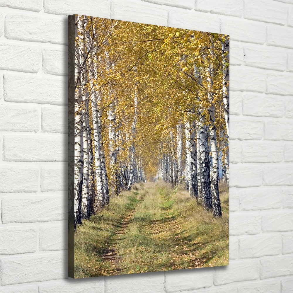 Canvas wall art Birch forest