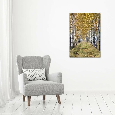 Canvas wall art Birch forest