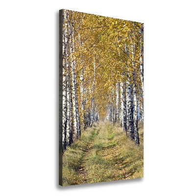 Canvas wall art Birch forest