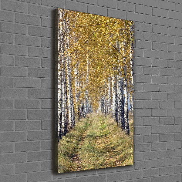 Canvas wall art Birch forest