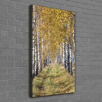 Canvas wall art Birch forest