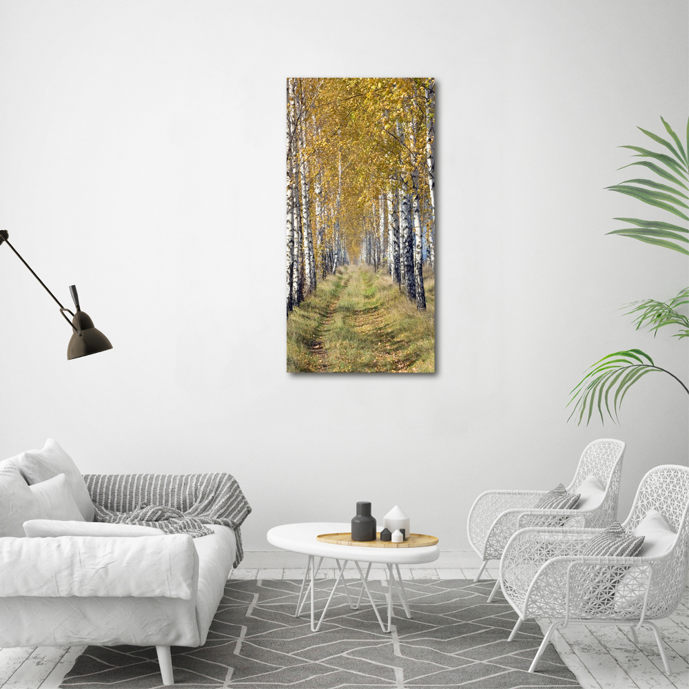 Canvas wall art Birch forest