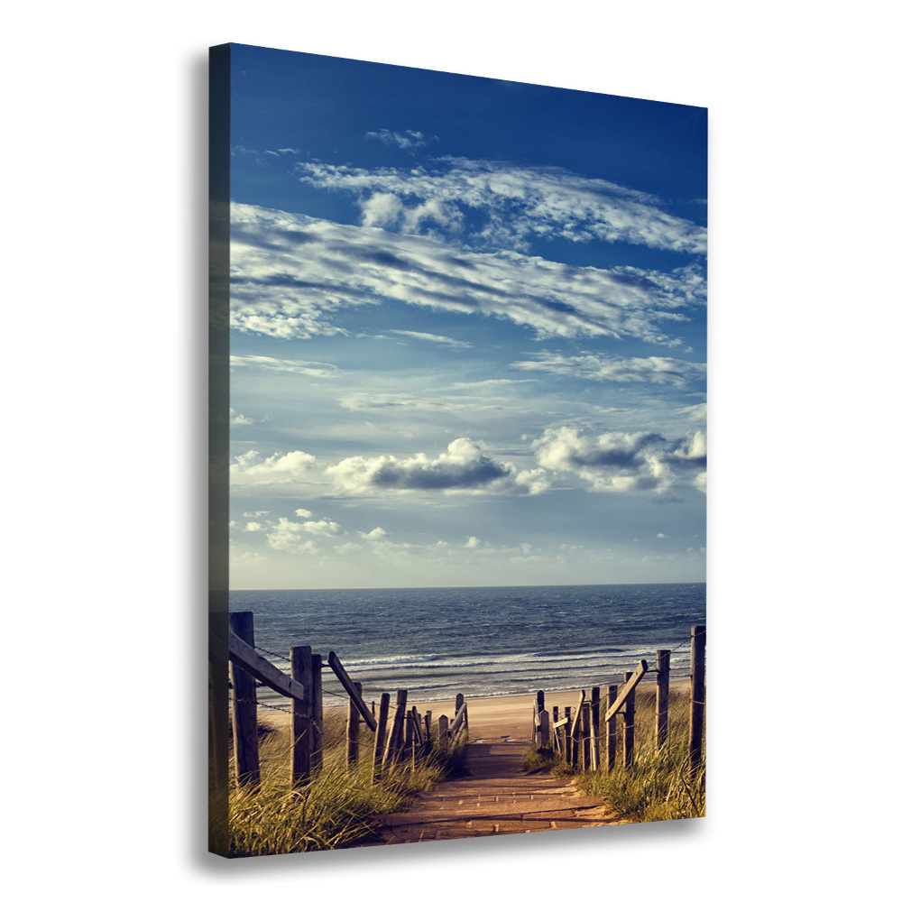 Canvas wall art Path to the beach