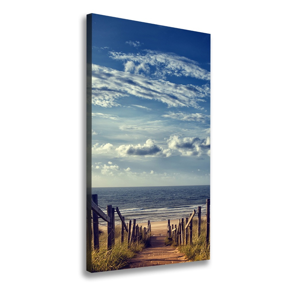 Canvas wall art Path to the beach