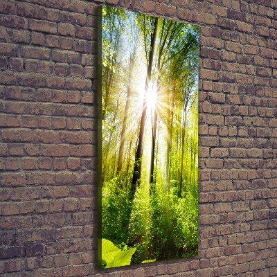 Canvas wall art The sun in the forest