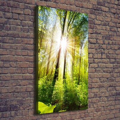 Canvas wall art The sun in the forest