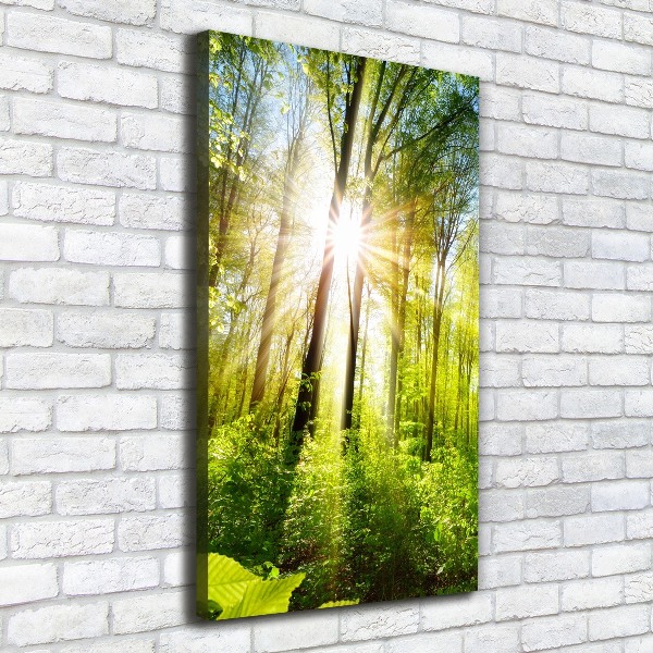 Canvas wall art The sun in the forest