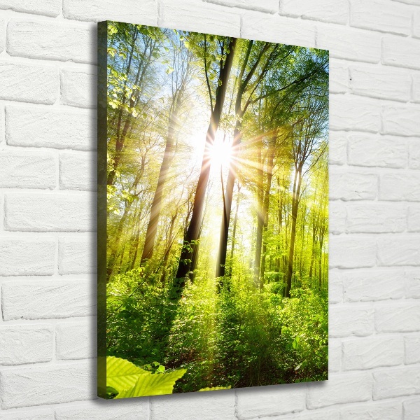 Canvas wall art The sun in the forest