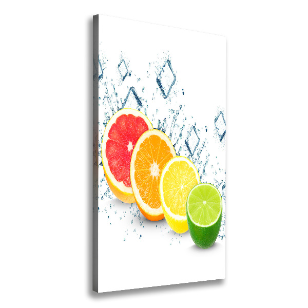 Canvas wall art Citruses