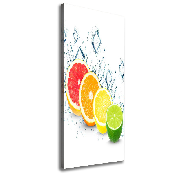 Canvas wall art Citruses