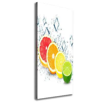 Canvas wall art Citruses