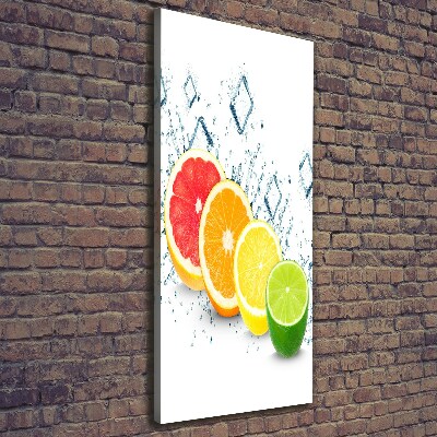 Canvas wall art Citruses