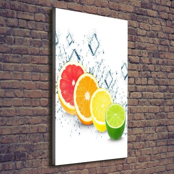 Canvas wall art Citruses