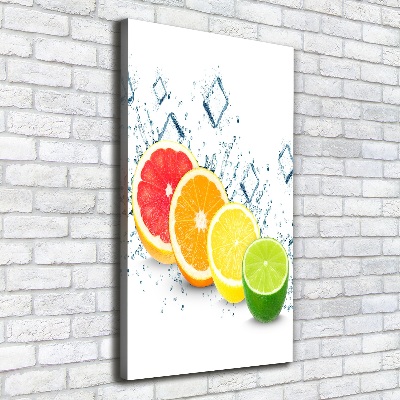 Canvas wall art Citruses