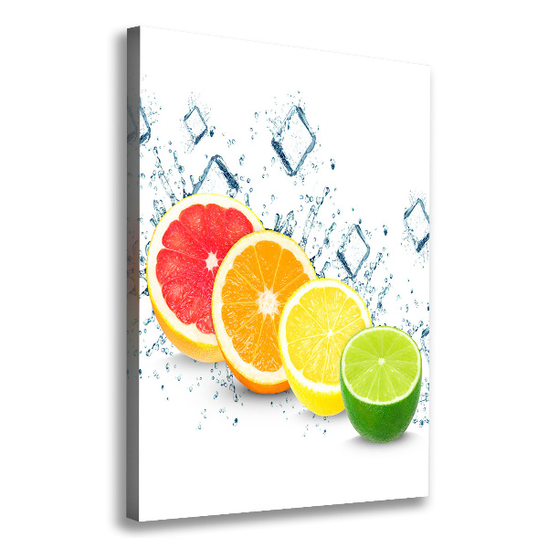 Canvas wall art Citruses