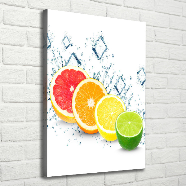 Canvas wall art Citruses