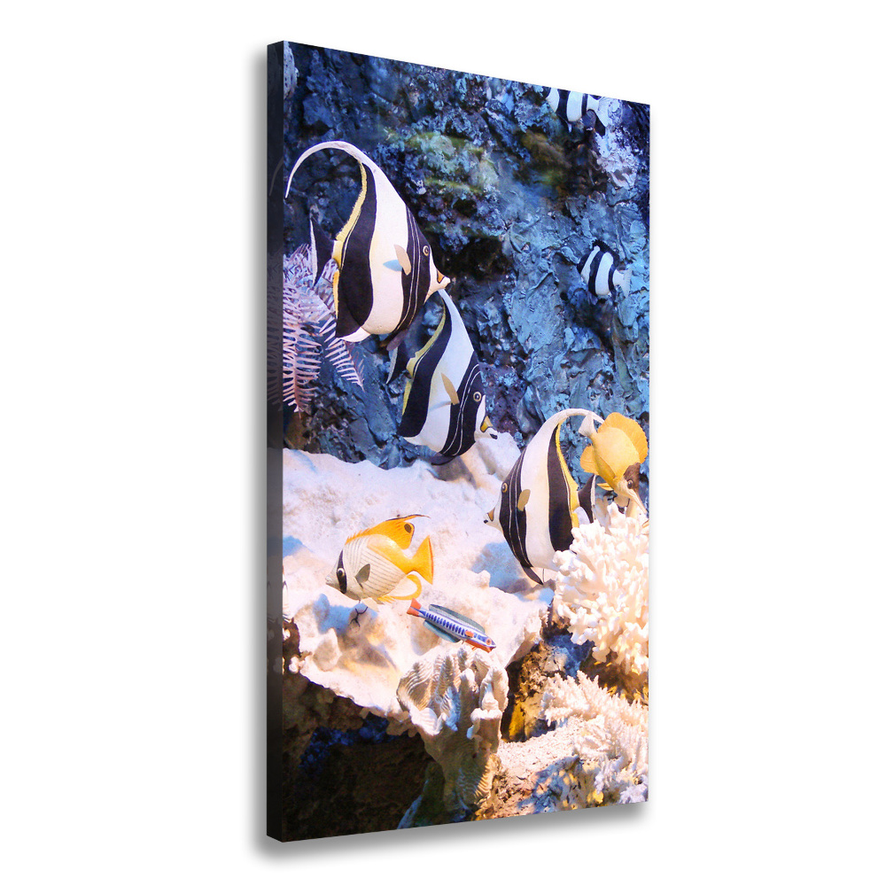 Canvas wall art Coral reef