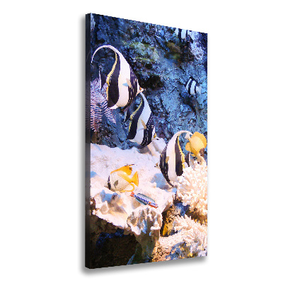 Canvas wall art Coral reef