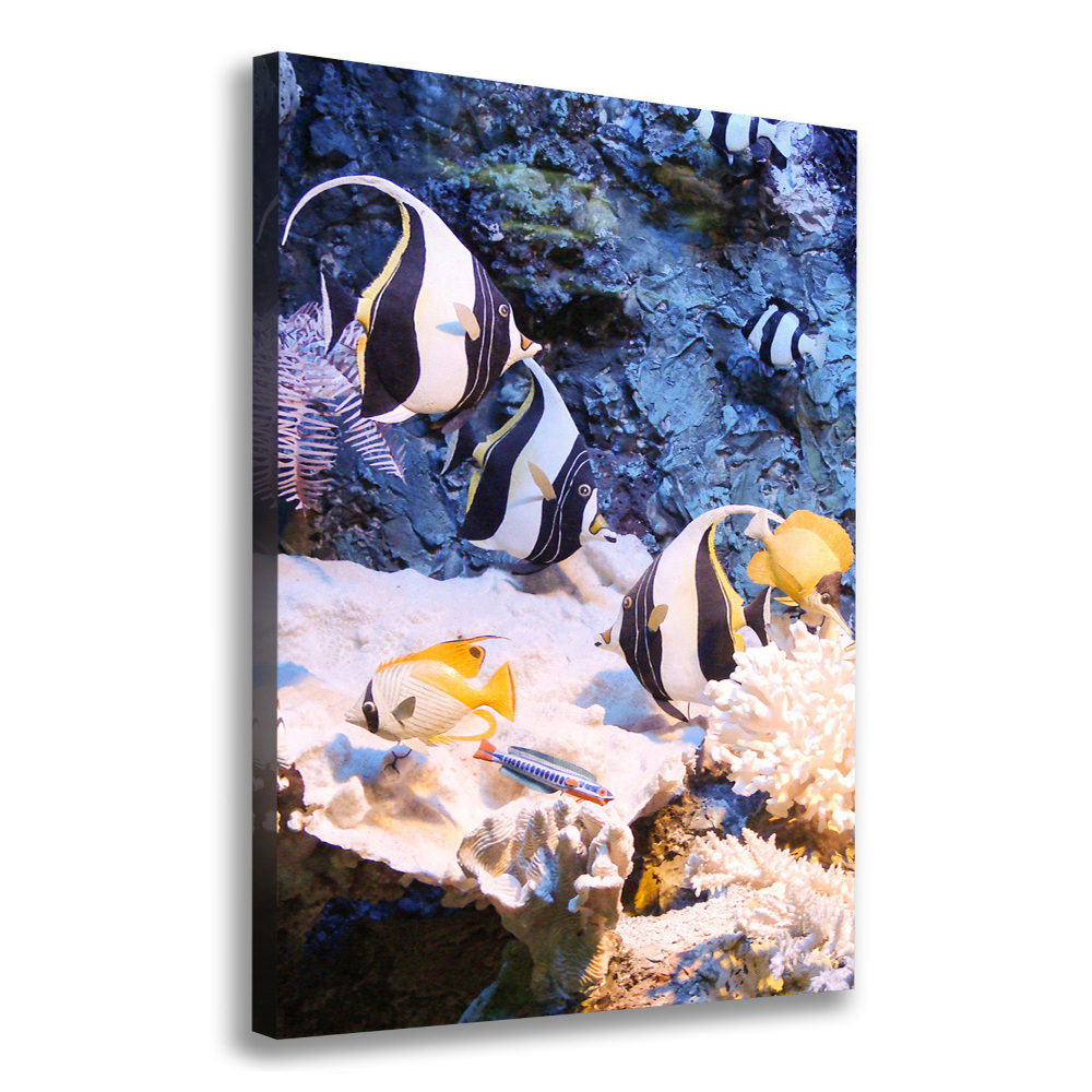 Canvas wall art Coral reef