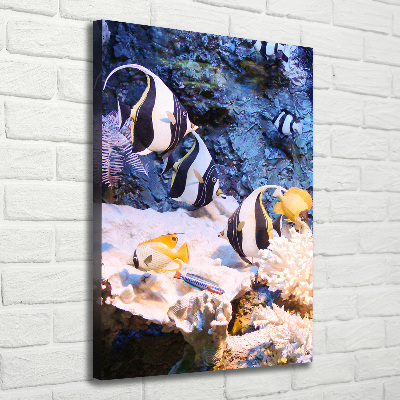 Canvas wall art Coral reef