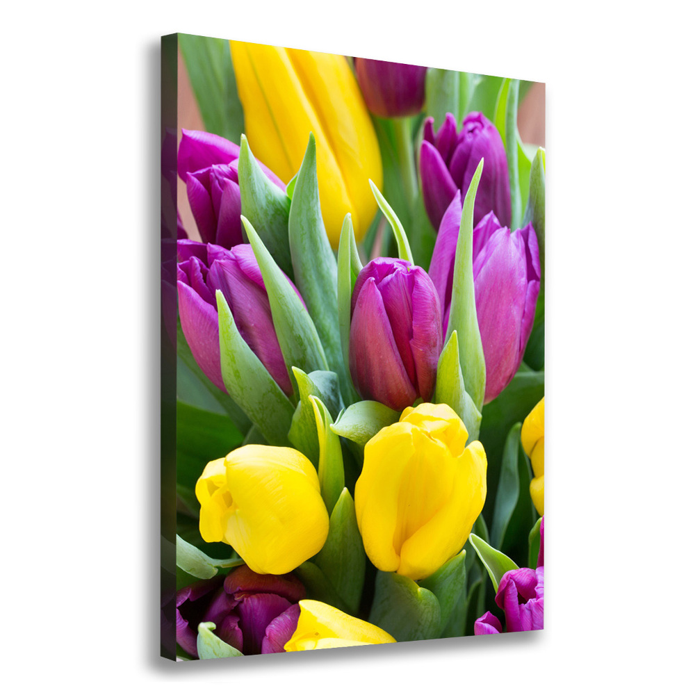 Canvas wall art Colorful tulips