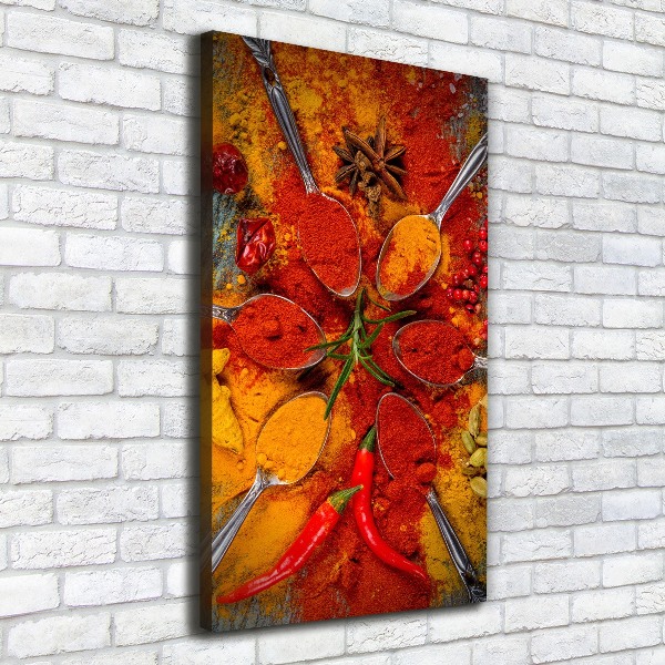 Canvas wall art Spices