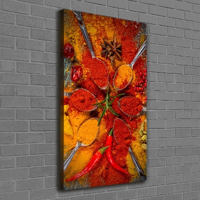 Canvas wall art Spices