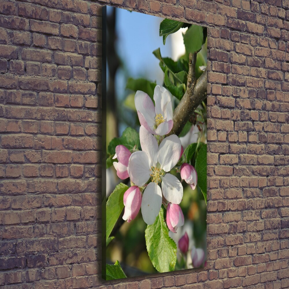 Canvas wall art Cherry blossoms