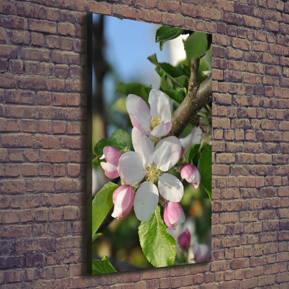 Canvas wall art Cherry blossoms