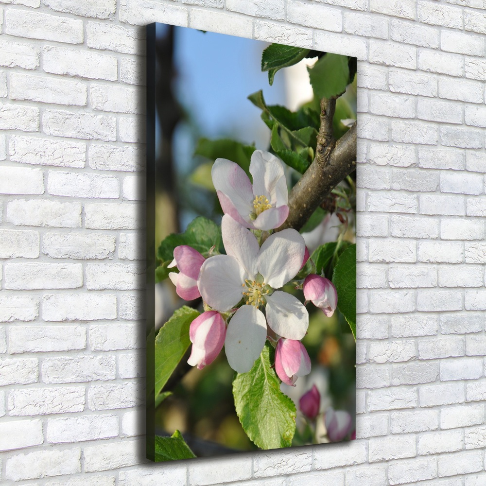 Canvas wall art Cherry blossoms