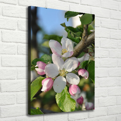 Canvas wall art Cherry blossoms