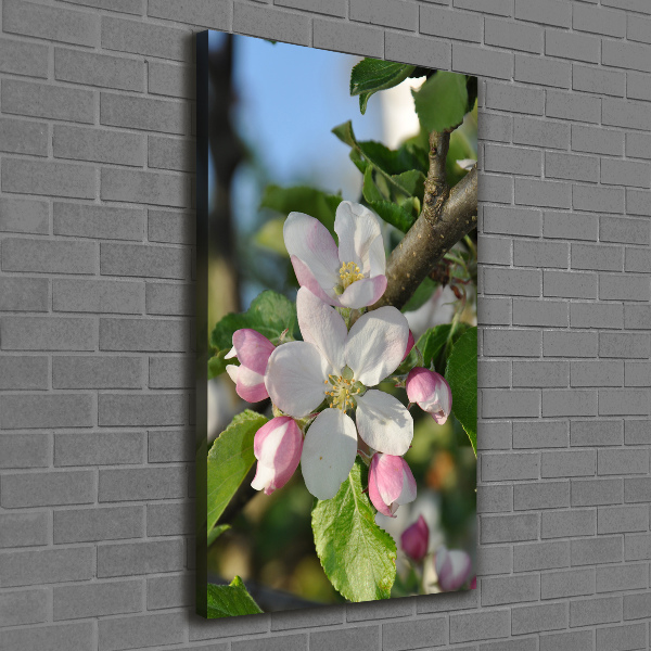 Canvas wall art Cherry blossoms