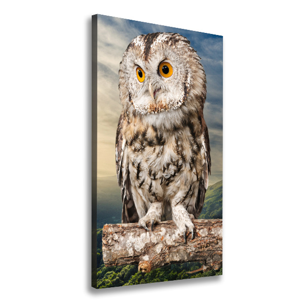 Canvas wall art Owl on the hill